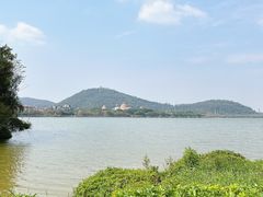 -顺峰山公园