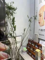 -木棉问题肌·肩颈·纹绣