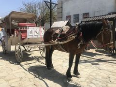 -清风小镇闯关东影视基地