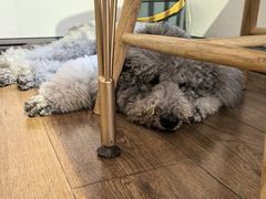 -沏点Trattoria意大利餐厅(新街口店)