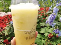 灭火杨桃-喜茶(上海兴业太古汇店)