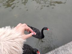 -杭州师范大学(下沙校区)
