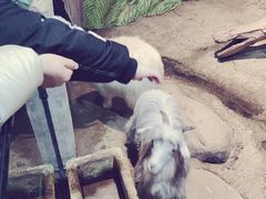 -苏州海洋馆
