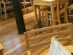 -猫的天空之城概念书店(杭州南宋御街店)