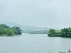 -佛手湖郊野公园
