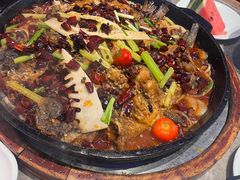 -老板恋上鱼(恒隆广场店)