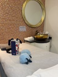 -上海首尔丽格医疗美容医院