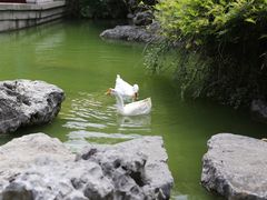-祝家花園(伯渎港店)