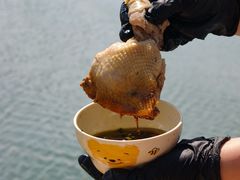 -七的湖·江南蟹舫·阳澄湖农家菜(蟹舫苑店)