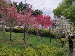 -乌山风景区
