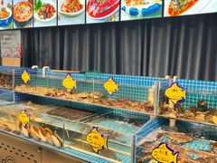 -韩记海鲜饺子旗舰店(红海新区店)