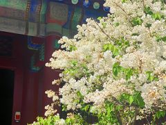 -恭王府博物馆