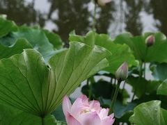 -成都市文化公园