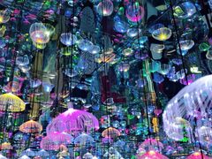 -天津梵高星空艺术馆(天河城旗舰店)