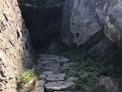 -阳台山自然风景区
