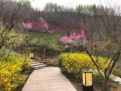 -白鹿原影视城