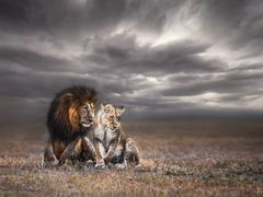 -罗红摄影艺术馆