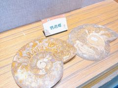 -六合国家地质公园桂子山景区