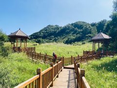 -白草畔自然风景区