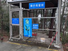 -千岛湖东南湖区