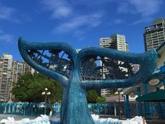 -海合安成都极地海洋公园