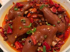 小资美容蹄-小资太太餐厅(南岗区店)