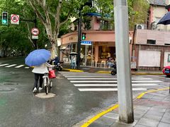 -WHEN PIGS FLY当猪飞