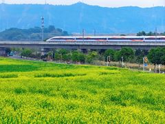 -光明小镇欢乐田园