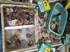 -青石桥市场北1-27号