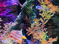 -沈阳海洋探索中心