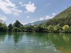 -蝴蝶泉公园