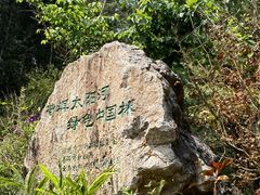 -普洱太阳河森林公园