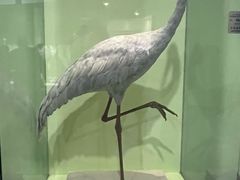 -盐城丹顶鹤湿地生态旅游区