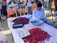 -大连熟食品交易中心