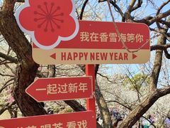 -香雪海