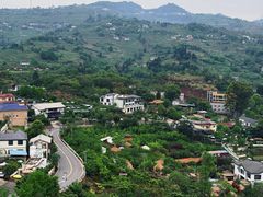-桃源山庄·摘樱桃·柴火鸡·烧烤团建(龙泉山店)