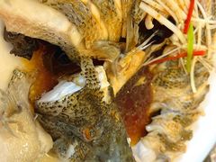 清蒸鲜鲈鱼-博雅渔港·融合菜(维也纳国际大酒店)