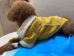 -关爱动物医院·心脏·中兽医·异宠(金牛路分院)