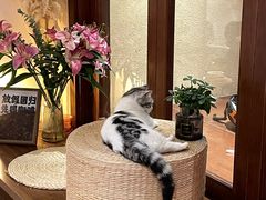 -seeu coffee(江滩店)