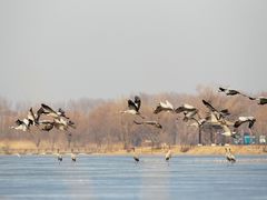 -永定河休闲森林公园
