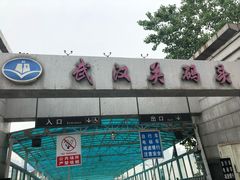 -武汉关码头(轮渡站)