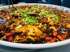 来凤鱼-新概念来凤鱼(璧山店)