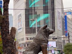 -涩谷全向十字路口