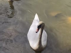 -深圳野生动物园
