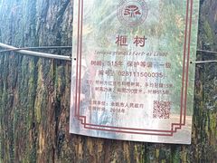 -丹山赤水风景名胜区