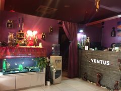 -ventus spa 沙巴亚庇正宗精油按摩会所