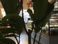 -威克特披萨汉堡