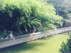 -石门坊