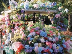 -南京银杏湖乐园