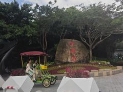 -野狸岛